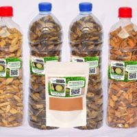 Varices Maladies Des Veines, produit conçu par les plantes, Nous vous proposons un très bon traitement pour guérir le mal définitivement