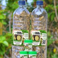 Spiruline Algue Complément Alimentaire, produit conçu par les plantes, Nous mettons à votre disposition un très bon traitement