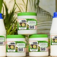 Remontant Naturel, Produit conçu par les plantes et racine, Cette tisane booste le système immunitaire en un rien de temps, bon remède