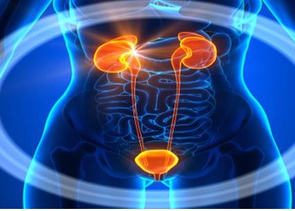 196-Varicocèle Testiculaire : Symptômes et Traitement Varicocèle
