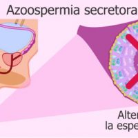 Comment Soigner Naturellement Azoospermie