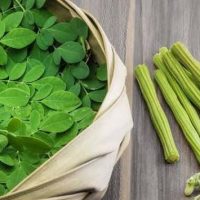 Savon Moringa, multi guérison maladies de peau
