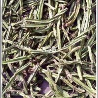Nécrospermie Solution Naturelle Nécrospermie