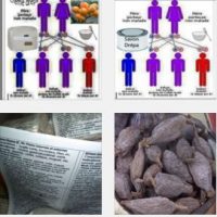 Comment soigner Drépanocytose naturellement?