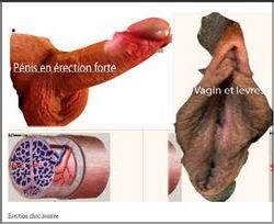 Comment Durer Au Lit