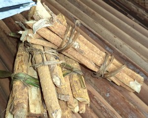 58 Tisane naturel contre le cancer
