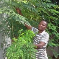 Traitement Naturel Hépatite B en Afrique