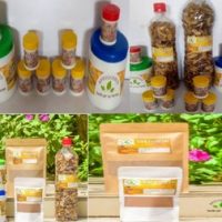 Plantes amies de la Prostate, Remède Prostatite ( Crème Prostatex B)