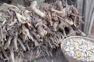 Comment Soigner Arthrose Naturellement