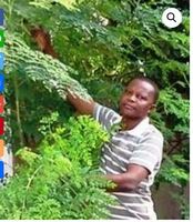 235- Quelles plantes pour soigner kystes