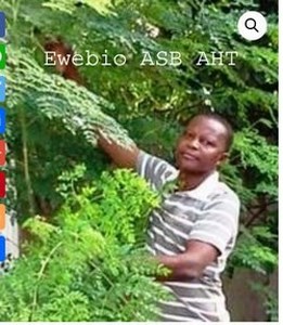 136- Afrique-Santé-Bio