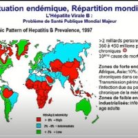 Traitement Naturel Contre Hépatite B Nouvelle Approche