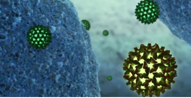 202- Hépatite B : Comment Tuer le Virus de l&rsquo;Hépatite B?
